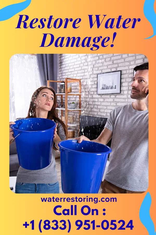 water restoration Allied Damage Restoration Specialists Palmhurst