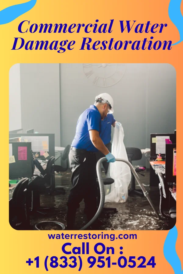 Commercial Water Damage Restoration in Palmhurst, TX